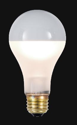 Standard A21 100W Bulb With Frosted Sides and Silver Reflector Top